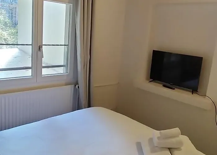 公寓式酒店 Castle View